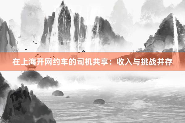 在上海开网约车的司机共享：收入与挑战并存