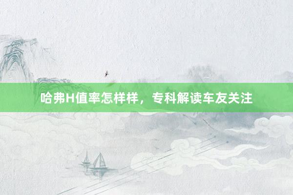 哈弗H值率怎样样，专科解读车友关注