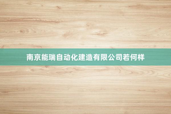 南京能瑞自动化建造有限公司若何样