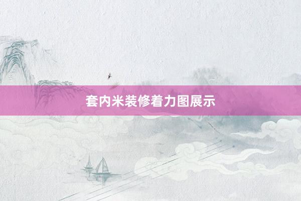 套内米装修着力图展示